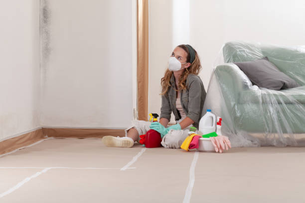 Reliable Mold Inspection And Testing contractor in Quincy, MI by Mold Remediation HQ